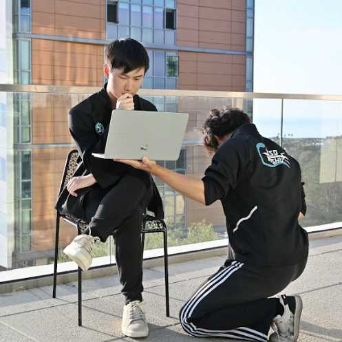 Wushu Cabinet member's portrait