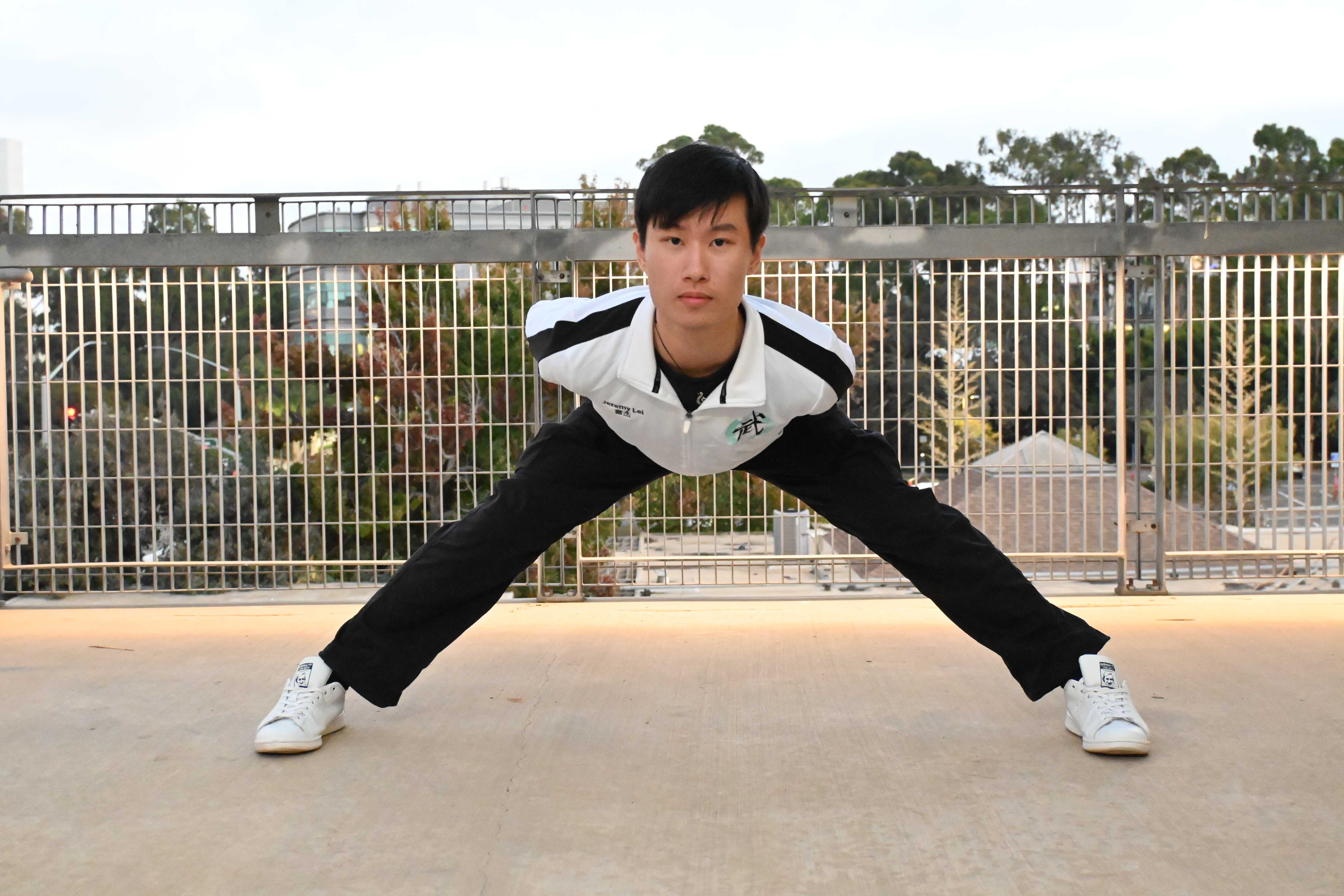 Wushu Cabinet member's portrait