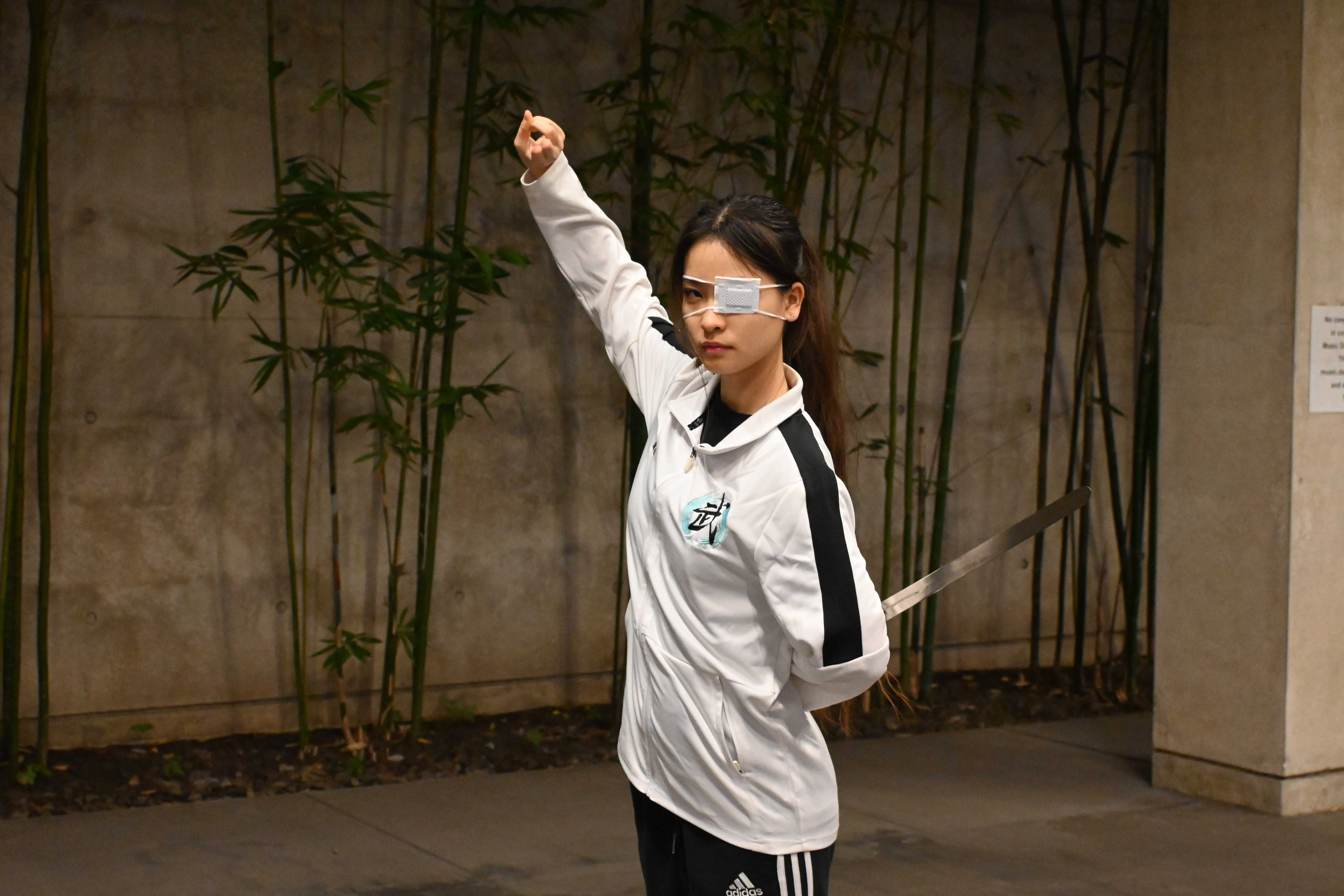 Wushu Cabinet member's portrait